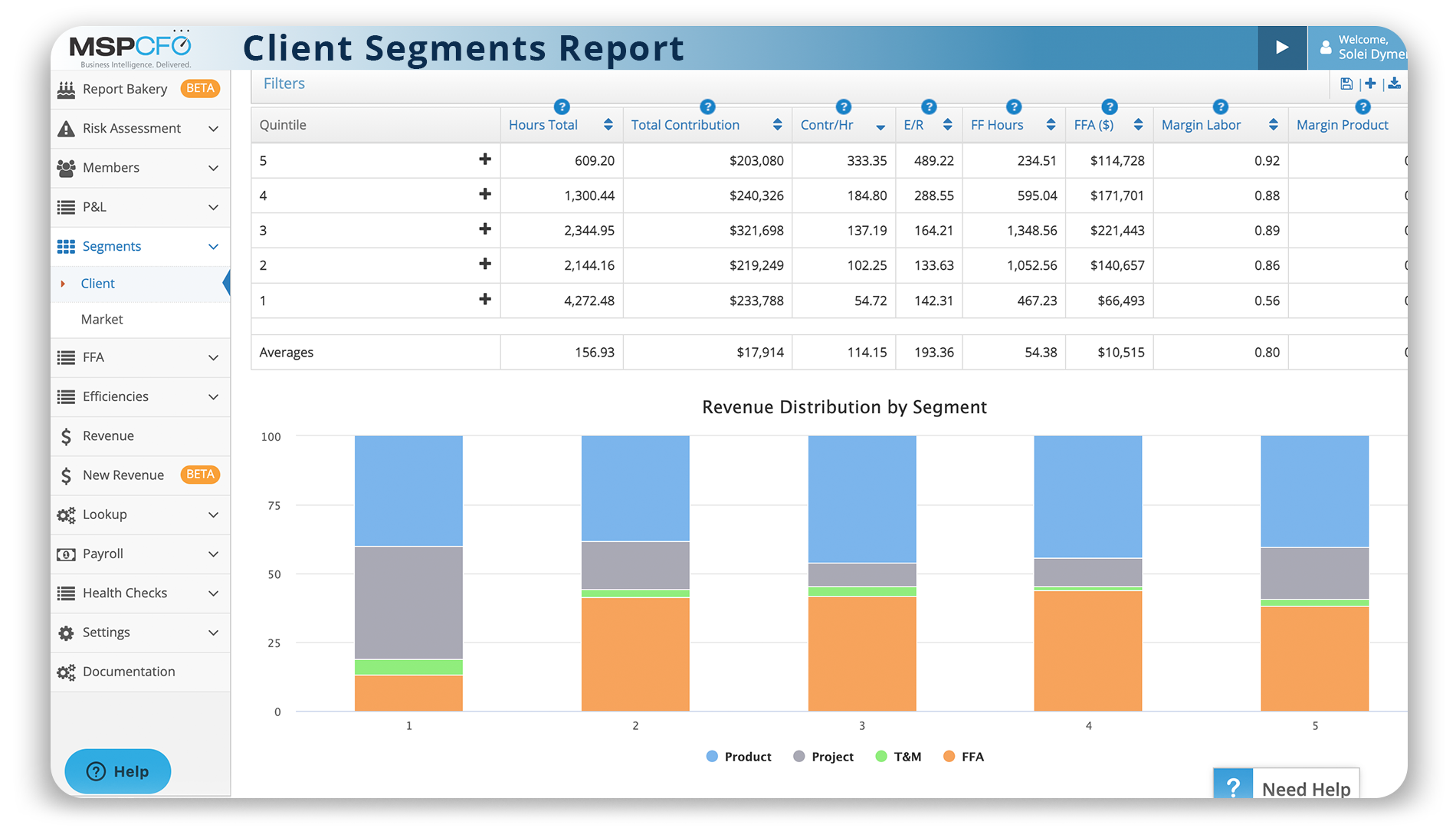 Client Segments Report